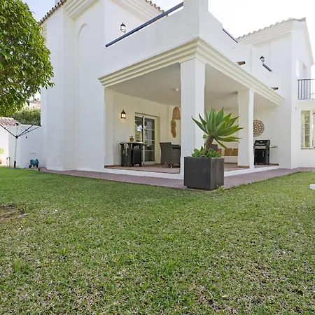 Olivo De Calahonda *